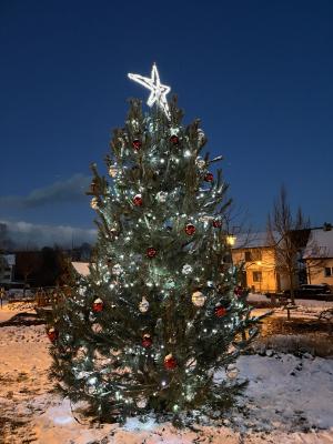 Rozsvícení vánočního stromečku 1